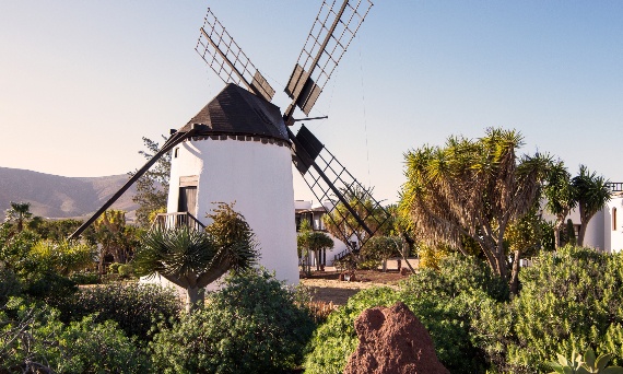 Co zobaczyć na Fuerteventurze? Kompletny przewodnik po zabytkach w 2026 roku