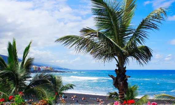 Co zobaczyć na Teneryfie? Kompletny przewodnik po zwiedzaniu Teneryfy w 2026 roku